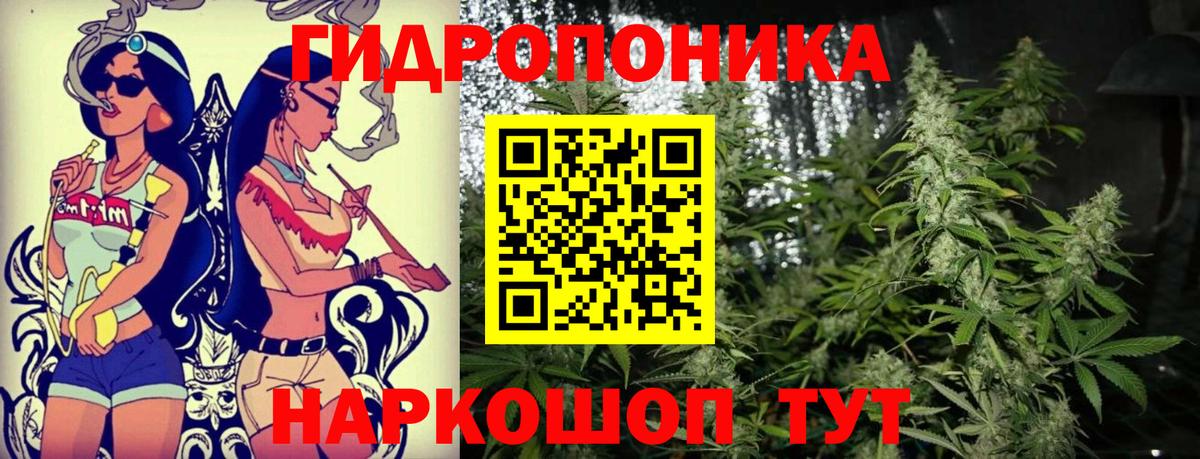 Конопля ГИДРОПОН  Вход с VPN  Шишки марихуана AK-47  Конопля индика  Белореченск  Конопля THC 21% 